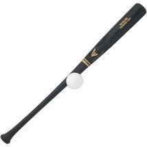 Easton Pro Stix Training Set – Precision Bat &amp; Ball Trainer - $19.99