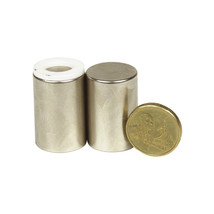 Rare Earth Magnets 2pcs (Large) - $66.88