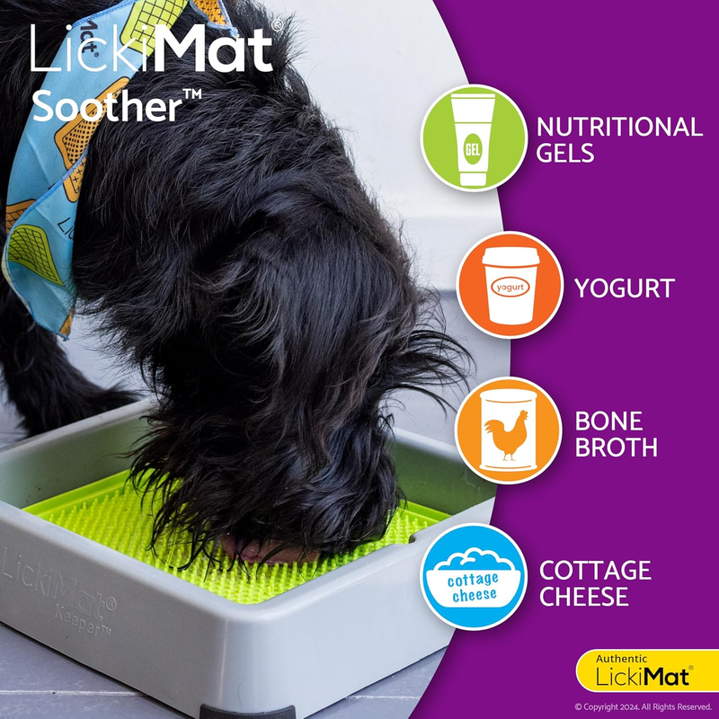 8"X8" Pack of 2 Slow Feeder for Dogs Boredom & Anxiety Reducer for Food Treats Y Item image 3
