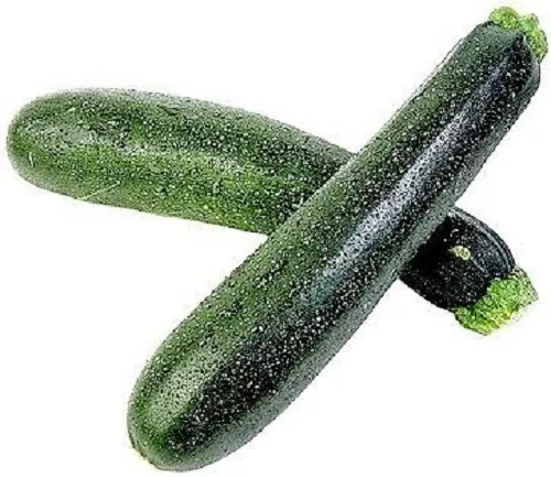 50 Black Beauty Zucchini Summer Squash Cucurbita Pepo Vegetable Seeds Fresh Seed - $16.00