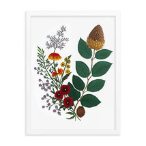 Framed poster plants, herbarium, flowers, design in minimalist and eco style - £28.19 GBP+