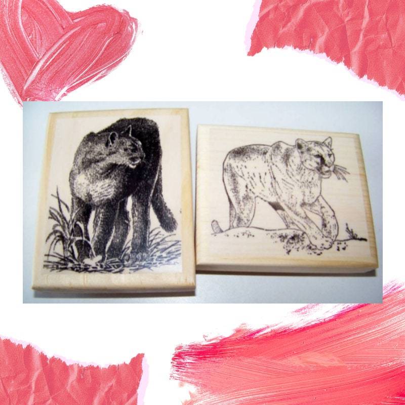 Primary image for Cougars 2 new rubber art stamps cougar mountain lion