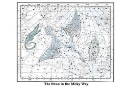 The Swan in the Milkyway by Alexander Jamieson - Art Print - £17.39 GBP+