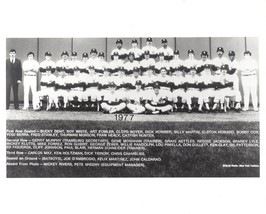 1977 NEW YORK YANKEES 8X10 TEAM PHOTO BASEBALL MLB PICTURE NY - £3.91 GBP