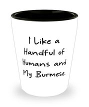 Sarcasm Burmese Cat Gifts, I Like a Handful of Humans and My Burmese, Special Ho - £7.79 GBP