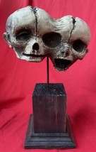 Mexico City Outside Art HOOS Incredible Siamese Twin Mummies Exhibit Relic - £159.37 GBP