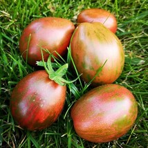 Rare Dwarf Maritime Bells Tomato Seeds (5 Pack) - Perfect for Small Gardens, Bal - £5.50 GBP
