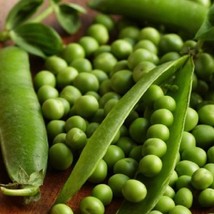 New Fresh Seeds Thomas Laxton Pea Seed English Running Garden Peas Seeds - £8.94 GBP