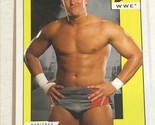 Lance Cade WWE Heritage Topps Trading Card 2008 #32 - £1.54 GBP