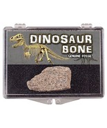 (1) Genuine Dinosaur Bone In Clear Display Box *65 to 250 Million Years Old*
