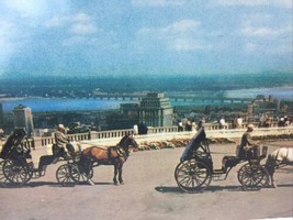 Old French Carriage rides at Historic Mount Royal. Montreal , Canada  PC~2 - £2.50 GBP