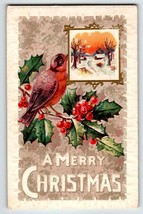 Christmas Postcard Robin Bird Vintage Embossed Poinsettias 1913 Series M 576 - £5.09 GBP