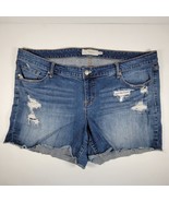 Torrid Womens Size 22 Cut Off Denim Shorts Blue Light Wash Distressed 5-... - £13.40 GBP