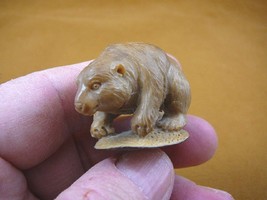 (tb-bear-9) baby brown Grizzly Bear Tagua NUT palm figurine Bali carving bears - £39.32 GBP