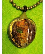 &quot;Jurassic Jessant&quot; Molded Steel necklace.C.2024 - $533.10 MXN