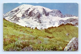 Mount Rainier From Alta Vista Rainier National Park WA UNP Chrome Postcard G16 - £2.37 GBP