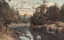 Lake City Florida Pstmk~On The Suwanee RIVER~1909 Postcard - £10.40 GBP