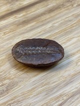 Vintage Plant Fossil Rock Leaf Imprint KG JD - $19.80