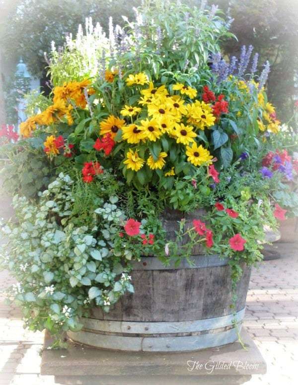 Summer flowers mix seeds - code 31 Item image 2