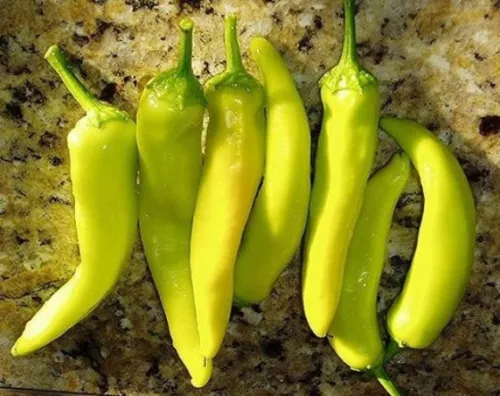 SEPTH 1/4 oz Hungarian Hot Wax Pepper Seeds, Yellow Peppers, Heirloom 1,000ct - £6.17 GBP