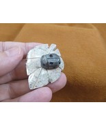 (Y-LAD-19) Ladybug ladybird beetle bug figurine on leaf carving SOAPSTON... - £6.72 GBP