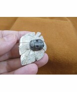 (Y-LAD-19) Ladybug ladybird beetle bug figurine on leaf carving SOAPSTON... - €7,45 EUR