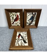 Kay Dee Vintage Hand Prints 100% Pure Linen Framed Bird Prints  Set Vint... - $48.01 CAD