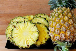 Garden Store 15 Valera Pineapple Seeds FROM USA  - $9.62