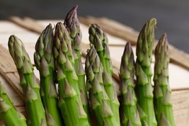 150 seeds Mary Washington Asparagus Grow Beauty with Heirloom Seeds - £6.33 GBP