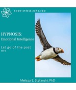 HYPNOSIS: EMOTIONAL INTELLIGENCE Let Go of the Past MP3; Binaural Beats;... - £3.19 GBP