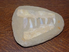 Vintage Fossil in Stone Found In Ocean Beach Colorado - $2,836.99 MXN