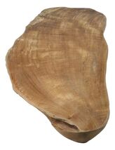 Bohemian Rustic Live Edge Irregular Shaped Teak Wood Charcuterie Cheeseb... - $65.99