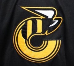 Any Name Number Cincinnati Stingers Retro Hockey Jersey New Black Any Size image 4