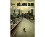 2010 The Walking Dead Poster Print Rick Grimes Andrew Lincoln Michonne D... - $8.97