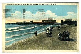 Ponies on the Beach Million Dollar Pier Postcard Atlantic City New Jerse... - $11.88