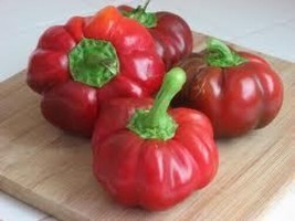 HGBO 25 Seeds Sweet Pimento Pepper Seeds ~ 2024 ~ Heirloomseedguy ~ From US - £6.51 GBP