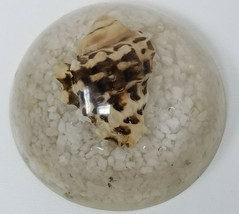 Paperweight Crown Conch Shell Sand Beach Brown White Vintage Acrylic Small - £14.97 GBP