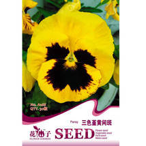 Viola Tricolor Yellow Pansy with Black Spot Perennial Flower Seeds, Original Pac - £3.85 GBP