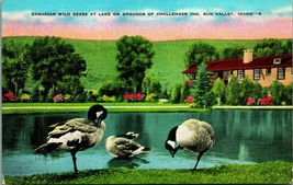 Geese on Grounds Challenger Lodge Sun Valley ID Idaho UNP Linen Postcard A9 - £3.07 GBP