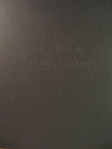 Big Book Awakening Alcoholics Anonymous Big Book Study Guide AA  VERY GOOD - $10.16