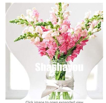 100  pcs Freesias Bonsai Gorgeous Colorful &amp; Fragrant Plants Cut Orchid Freesia  - £5.80 GBP
