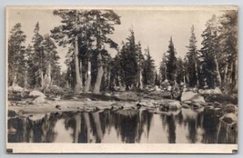 RPPC Beautiful Scene From Lake of Rocky Beach Pines Real Photo Postcard C40 - £7.04 GBP