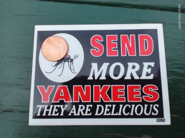 Small 4X3 Inch Decal Sticker Send More Yankees They Are Delicious - $9.98