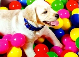 Jigsaw Puzzle Little Puppy In Pool Of Balls 500 Pieces 14" X 11" Cardinal - £2.76 GBP
