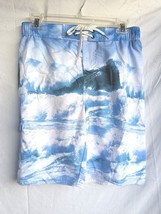 True Craft Boys Size L Beach Surfer Microfiber Swim Board Shorts Trunks Blue New - £15.89 GBP