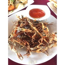 Item image 4