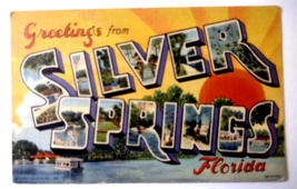 Greetings From Silver Springs Florida Large Letter Postcard Glass Bottom Boat - £9.09 GBP