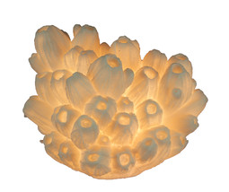 Zeckos White Faux Tube Coral Decorative Coastal Art Accent Lamp - £71.21 GBP