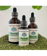 Hyssop Tincture - Alcohol Free Hyssopus officinalis Extract - Cold Cured  - £10.11 GBP+