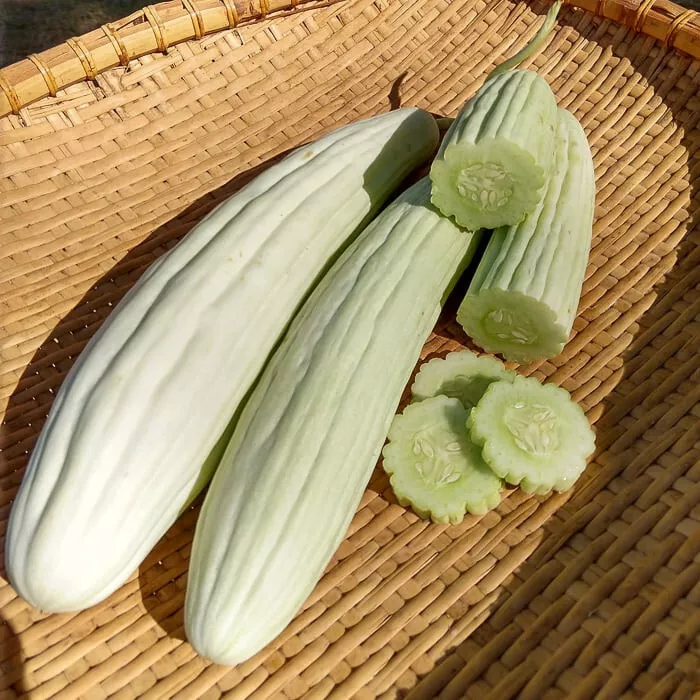 CLK 25 Armenian Cucumbers Planting Edible Food Easy To Grow Garden Herb Seeds - £7.15 GBP